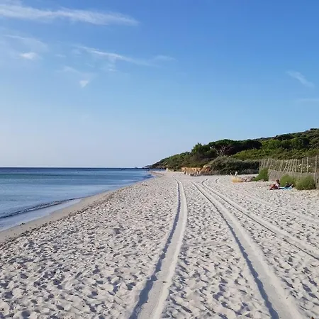 Le Cocon Mediterraneen Διαμέρισμα