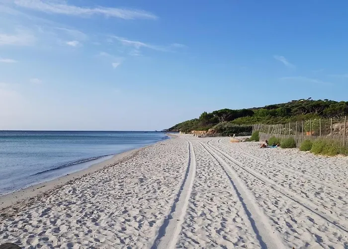 Le Cocon Mediterraneen Διαμέρισμα
